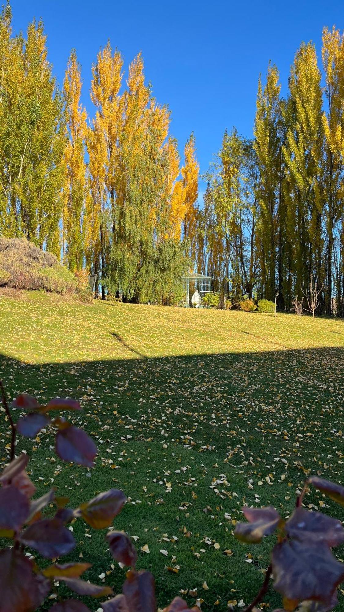 Los Ponchos Hotel El Calafate Exterior foto